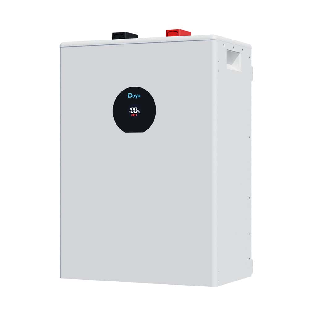 12kwh Deye 51.2v LifePo4 lithium Battery-SE-F12-C