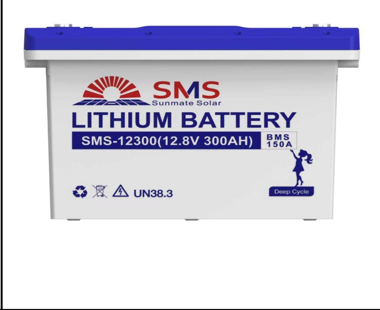 2.51kw Lithium SMS  Battery 12v 300ah